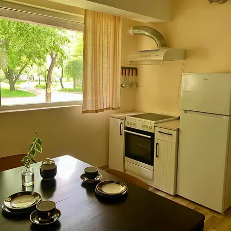 The Art Place דירה ווידין