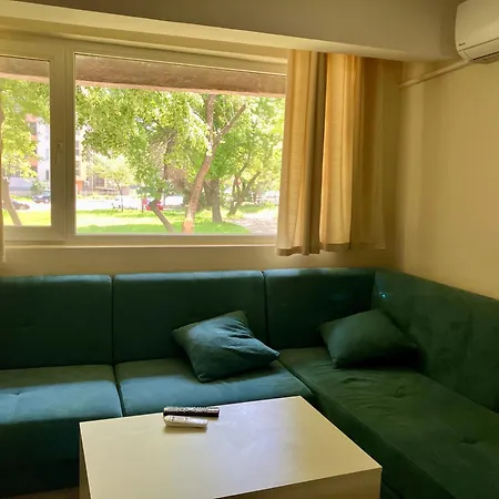 The Art Place * Widyń