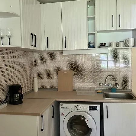 The Art Place * Widyń